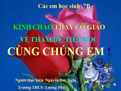 Chương IV. §4. Đơn thức đồng dạng