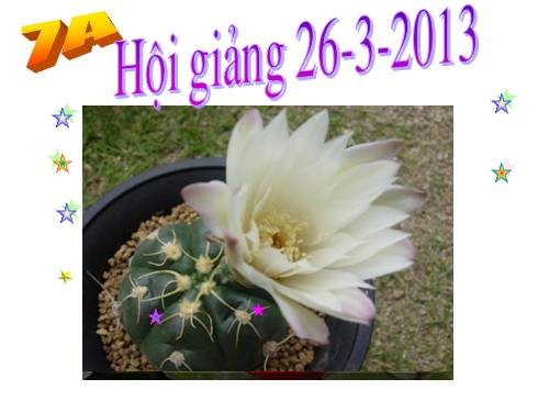Chương IV. §6. Cộng, trừ đa thức