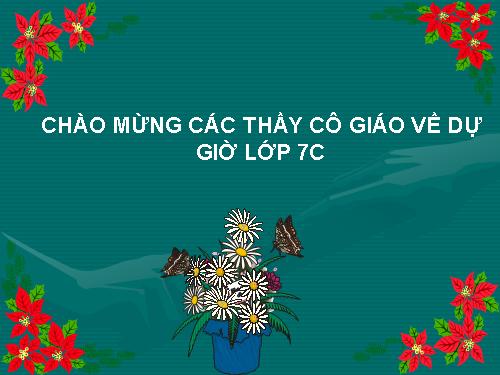 Ôn tập Chương I. Số hữu tỉ. Số thực