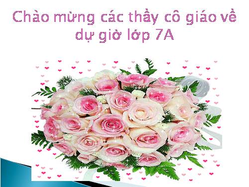 Các bài Luyện tập