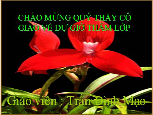 Chương I. §10. Làm tròn số