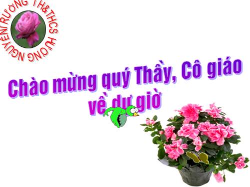 Chương IV. §8. Cộng, trừ đa thức một biến