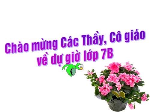 Chương IV. §8. Cộng, trừ đa thức một biến