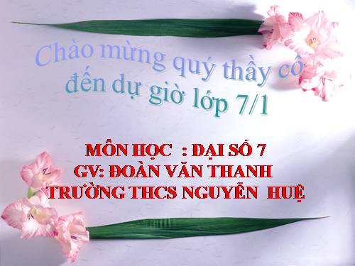 Chương I. §11. Số vô tỉ. Khái niệm về căn bậc hai