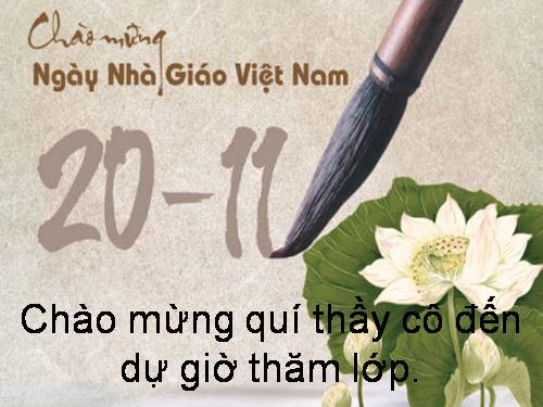 Các bài Luyện tập