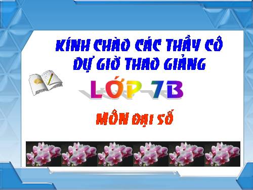 Chương II. §3. Đại lượng tỉ lệ nghịch