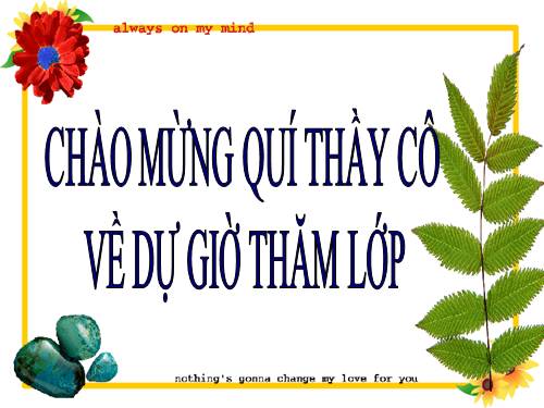 Chương I. §7. Tỉ lệ thức