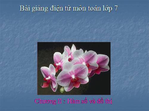 Chương II. §1. Đại lượng tỉ lệ thuận