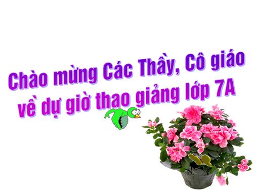 Chương IV. §8. Cộng, trừ đa thức một biến