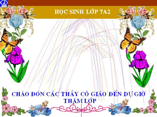 Các bài Luyện tập