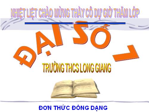 Chương IV. §4. Đơn thức đồng dạng