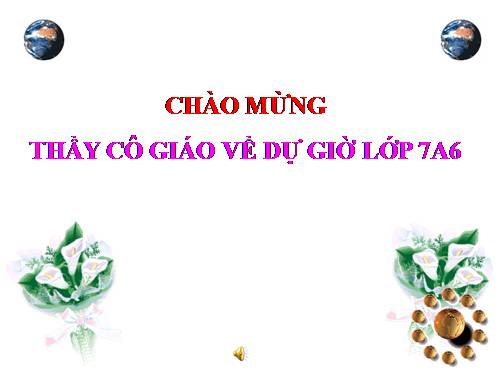 Các bài Luyện tập