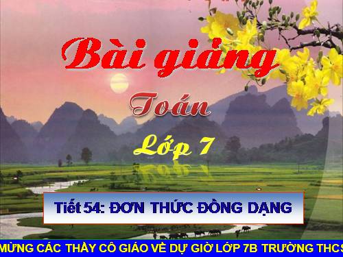 Chương IV. §4. Đơn thức đồng dạng