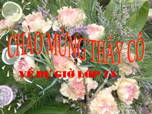 Chương IV. §7. Đa thức một biến