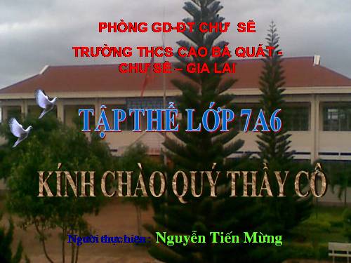 Các bài Luyện tập