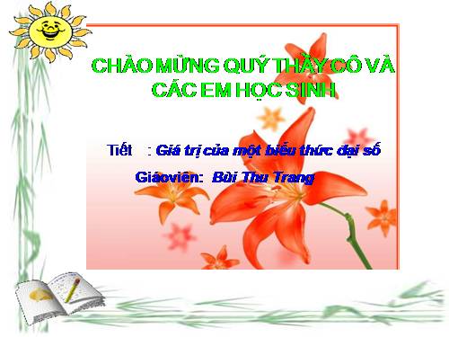 Chương IV. §2. Giá trị của một biểu thức đại số