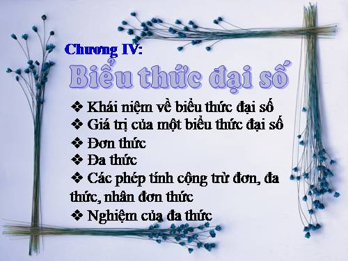 Chương IV. §1. Khái niệm về biểu thức đại số