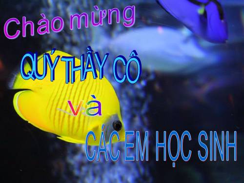 Chương IV. §7. Đa thức một biến