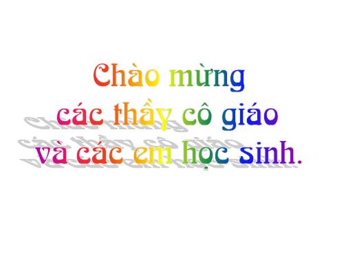 Các bài Luyện tập