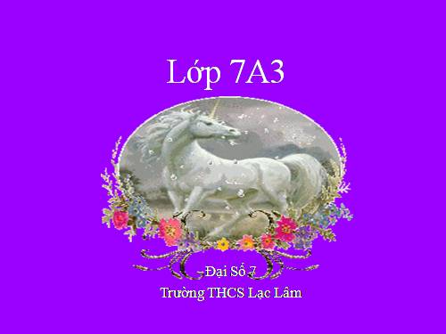 Chương II. §7. Đồ thị của hàm số y = ax (a ≠ 0)