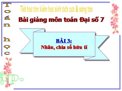 Chương I. §3. Nhân, chia số hữu tỉ