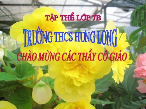 Chương IV. §4. Đơn thức đồng dạng