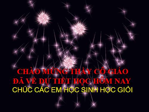 Chương IV. §3. Đơn thức