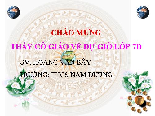 Các bài Luyện tập