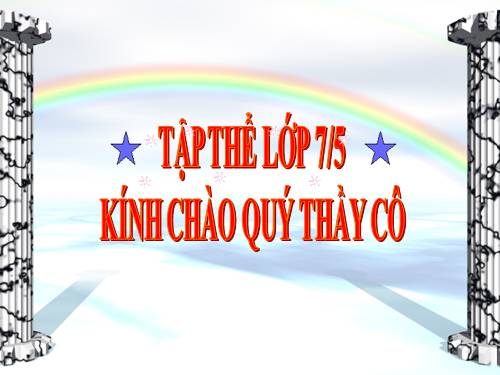 Chương I. §11. Số vô tỉ. Khái niệm về căn bậc hai