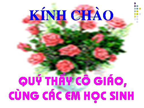 Chương I. §6. Lũy thừa của một số hữu tỉ (tiếp)