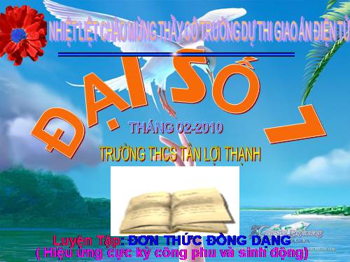 Chương IV. §4. Đơn thức đồng dạng