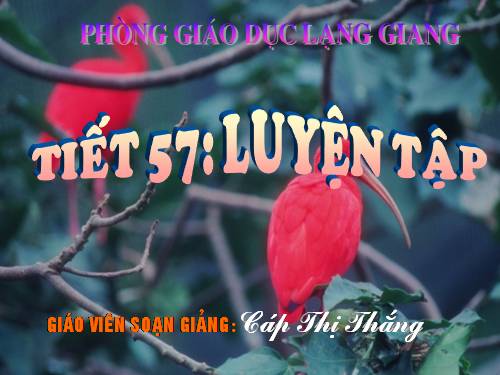 Các bài Luyện tập