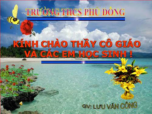 ôn tập HKI