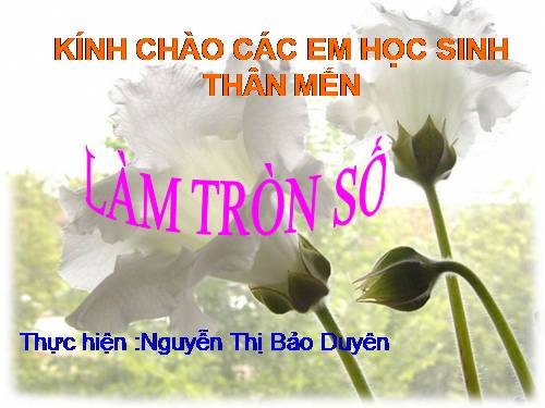 Chương I. §10. Làm tròn số