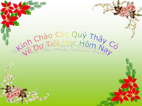 Chương II. §7. Đồ thị của hàm số y = ax (a ≠ 0)