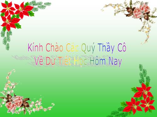 Các bài Luyện tập