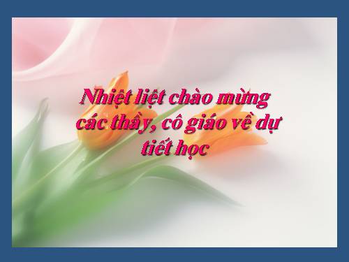 Chương II. §1. Đại lượng tỉ lệ thuận