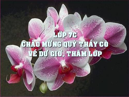 Chương II. §1. Đại lượng tỉ lệ thuận