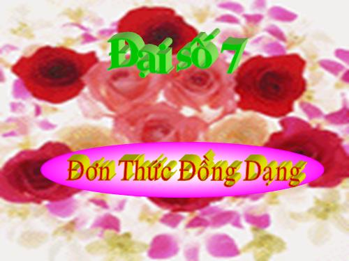 Chương IV. §4. Đơn thức đồng dạng