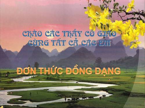 Chương IV. §4. Đơn thức đồng dạng