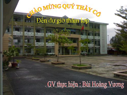 Các bài Luyện tập