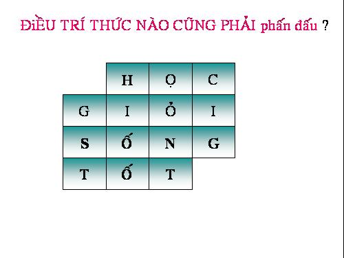 Các bài Luyện tập