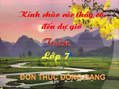 Chương IV. §4. Đơn thức đồng dạng