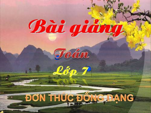 Chương IV. §4. Đơn thức đồng dạng