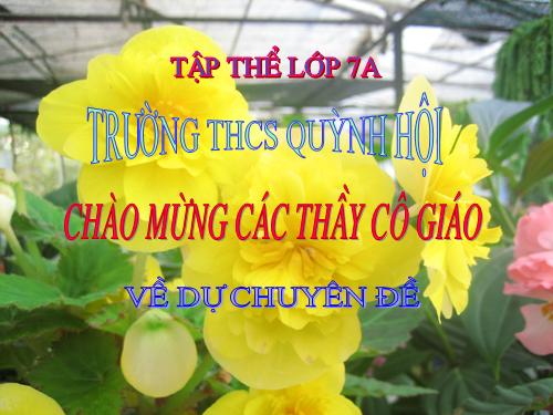 Chương IV. §4. Đơn thức đồng dạng