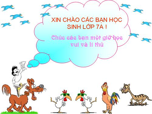 Các bài Luyện tập