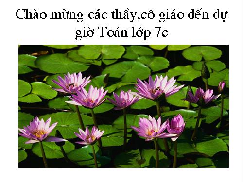 Chương IV. §2. Giá trị của một biểu thức đại số