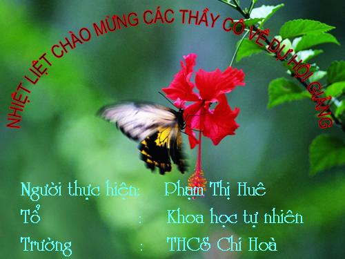 Chương I. §8. Tính chất của dãy tỉ số bằng nhau