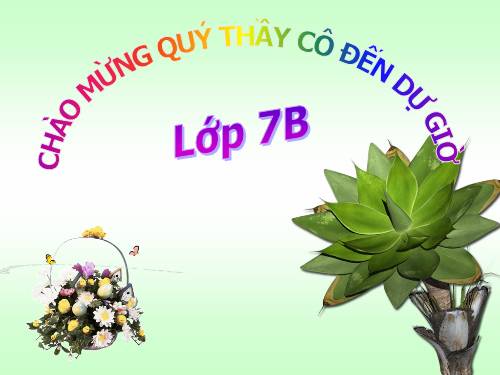 Các bài Luyện tập