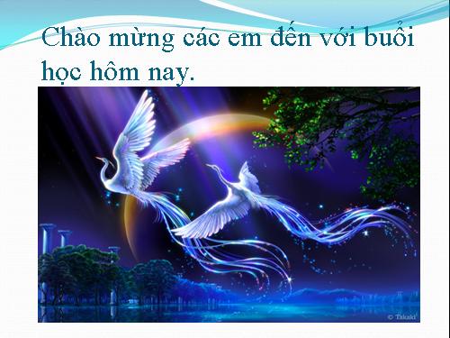 Chương II. §7. Đồ thị của hàm số y = ax (a ≠ 0)